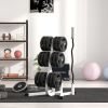 Soozier 2-Inch Weight Plate Rack with Barbell Bar Holders, Olympic Weight Tree, 660 lbs. Capacity, White