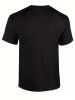 Teediy THE GYM Women'S Fashion Short T-Shirt